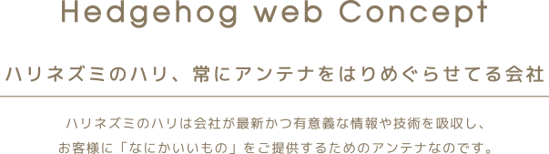 Hedgehog Web Concept